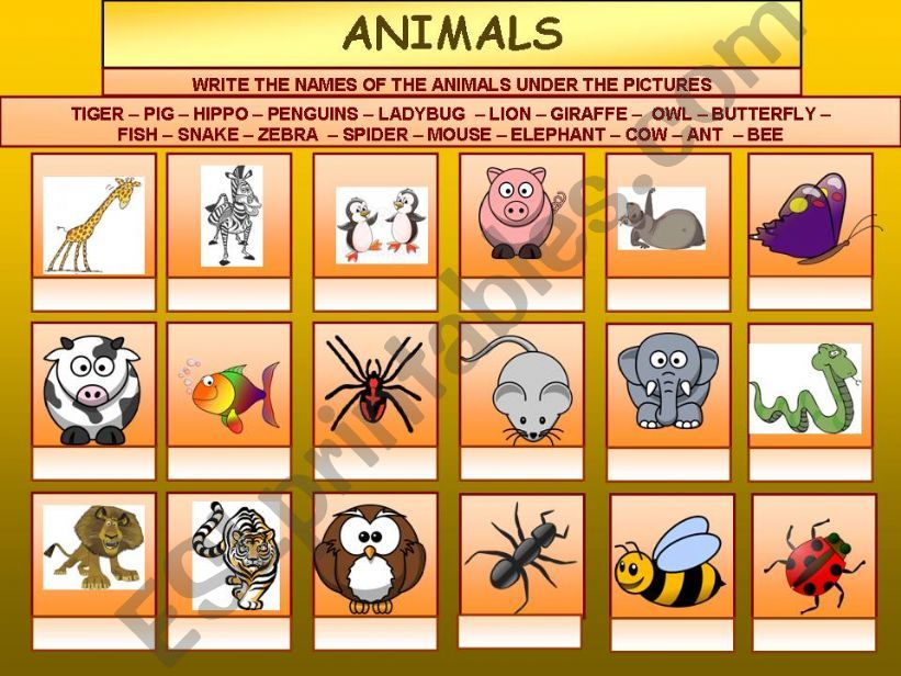 ANIMALS WORKSHEET powerpoint