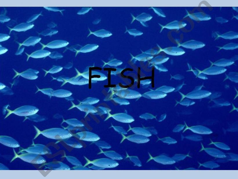 Fish presentation powerpoint