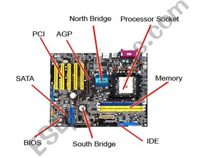 Motherboard powerpoint