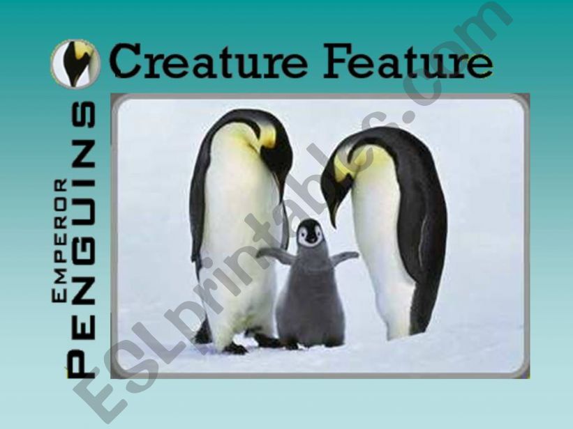 EMPEROR PENGUINS powerpoint