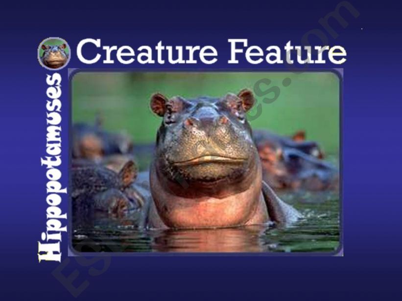 HIPPOPOTAMUSES powerpoint