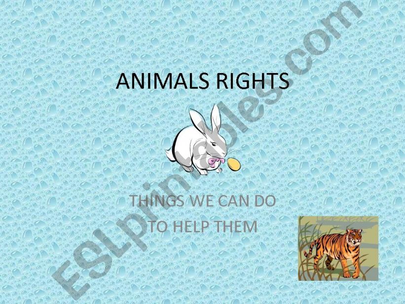 Animals Rights powerpoint
