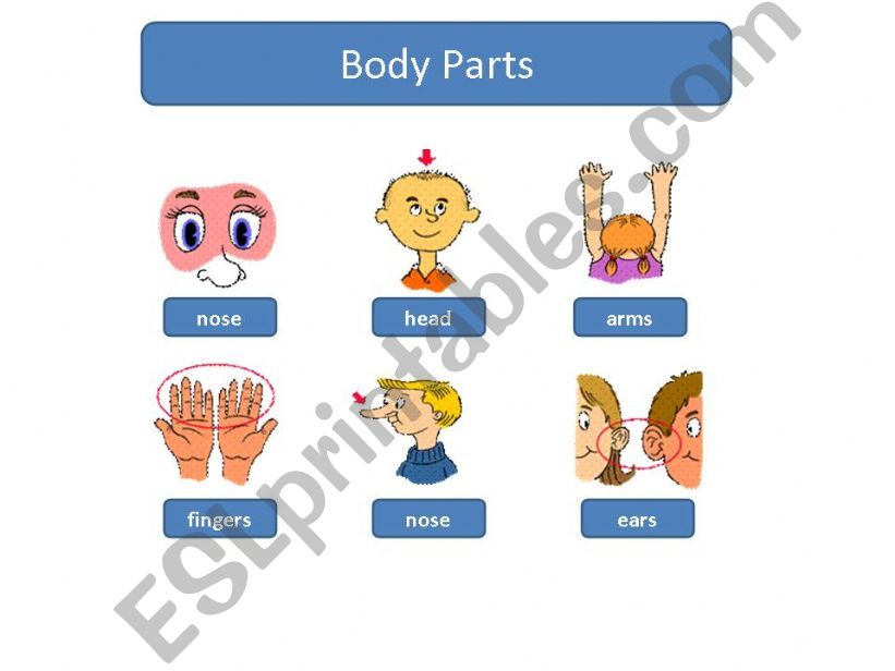 Body parts memorice game powerpoint