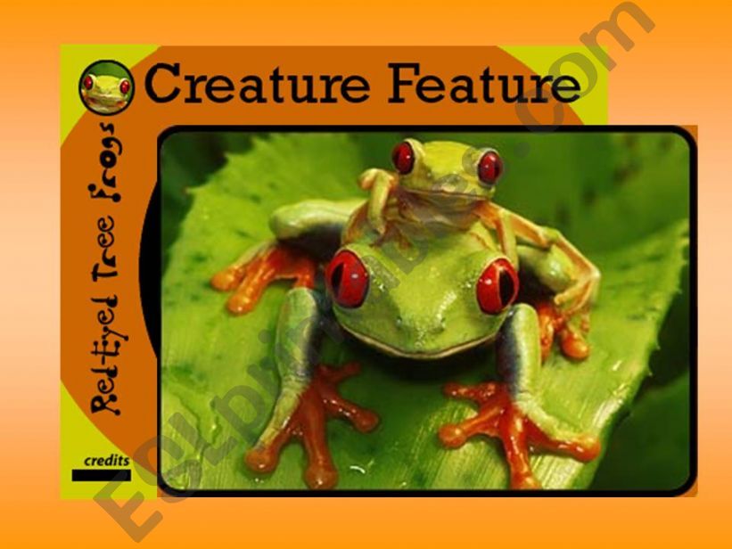 RED FROGS powerpoint