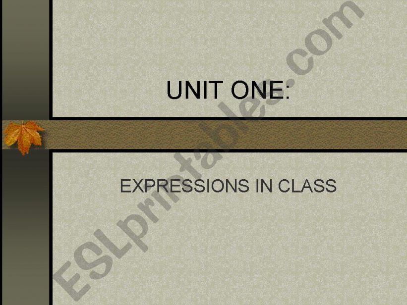 EXPRESSIONS IN CLASS 1 powerpoint