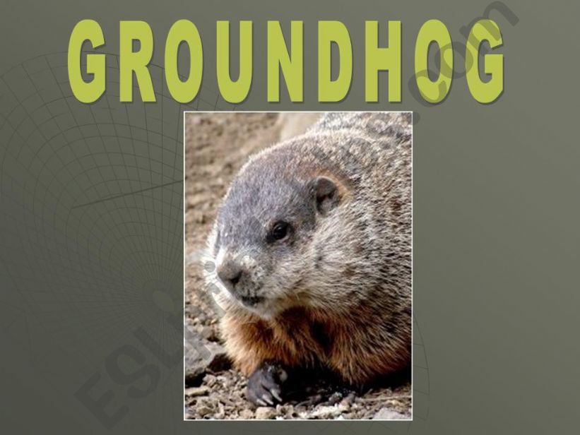 Groundhog Trivia powerpoint