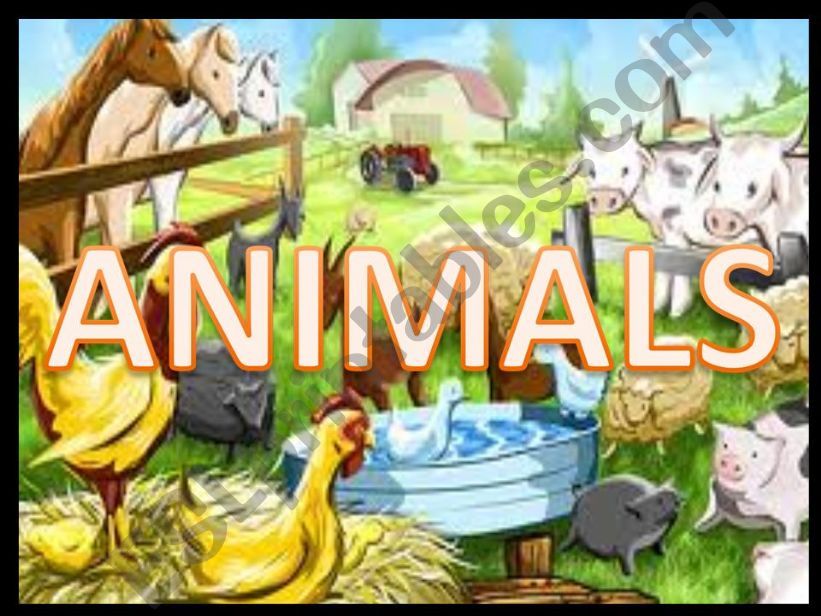 Animals powerpoint