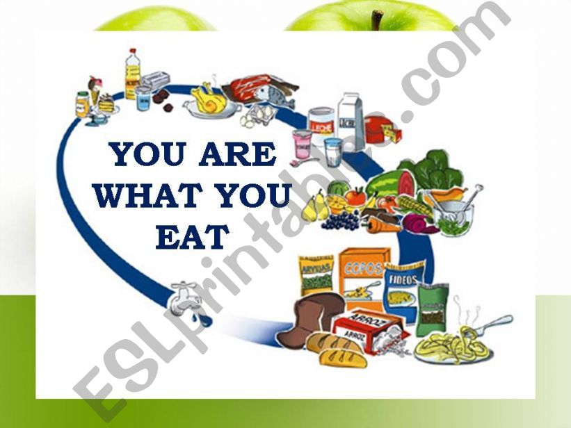 Food, Countables and uncountables