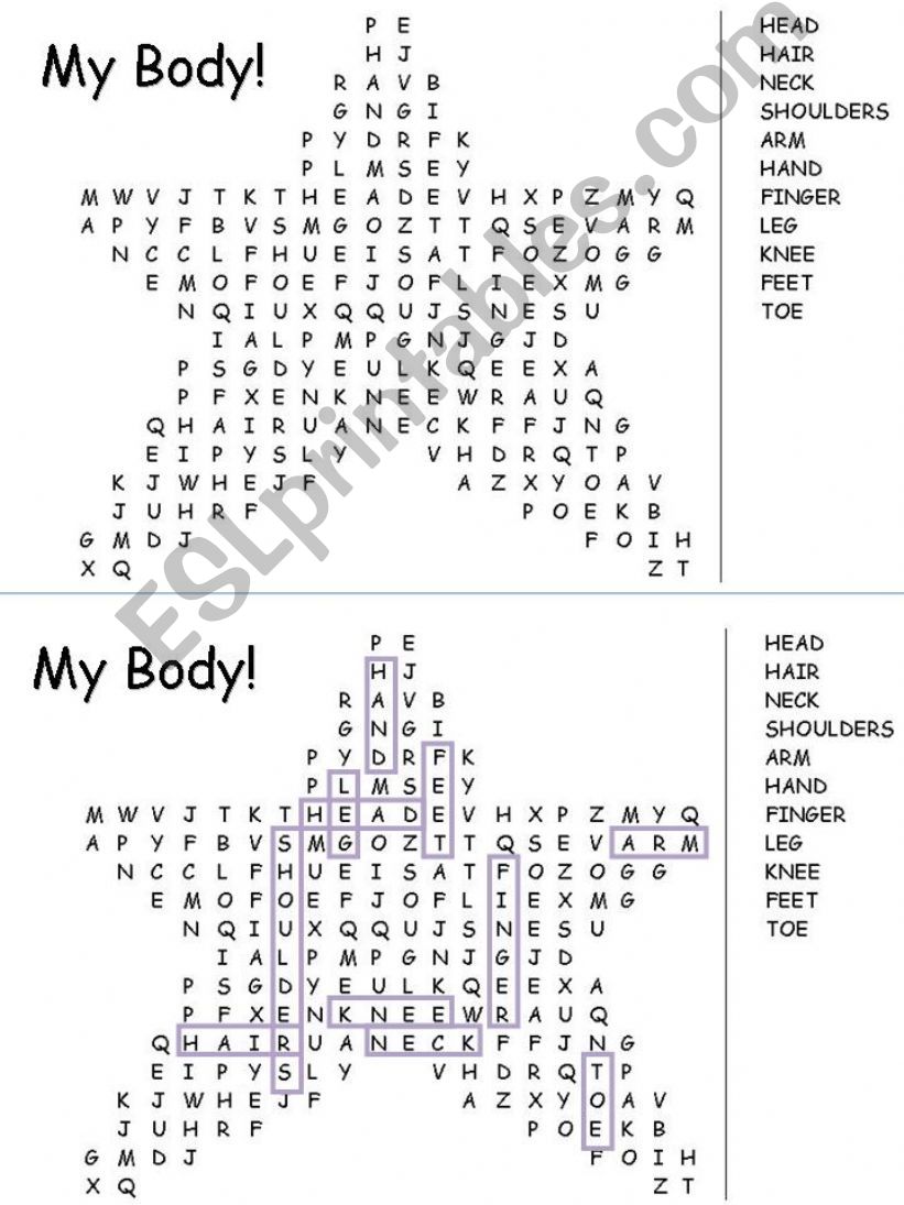 My Body Word Search Puzzle powerpoint