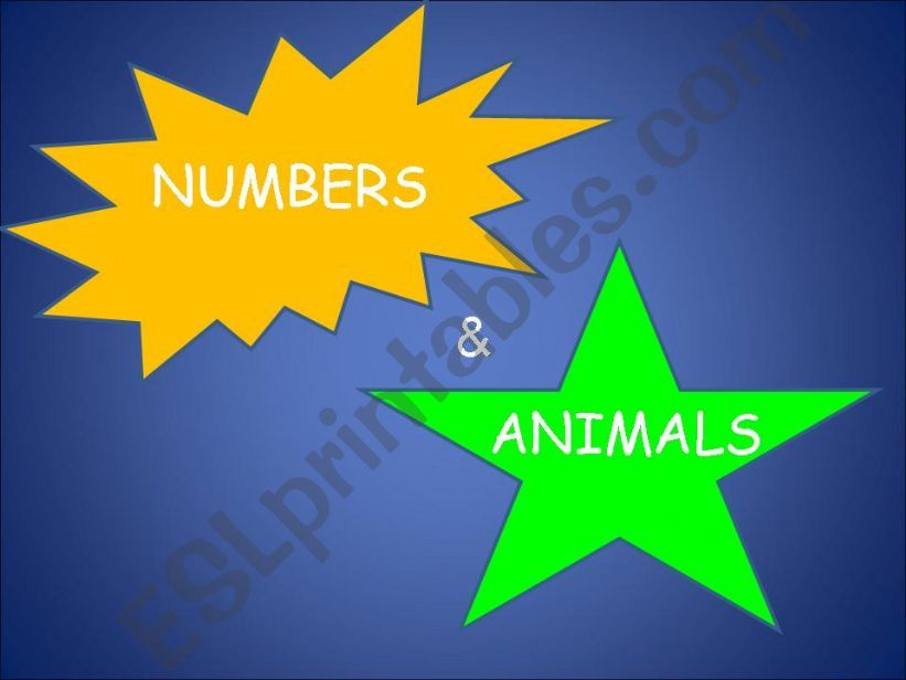 Numbers & Animals: Interactive activities
