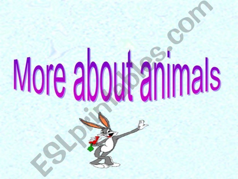 Animals powerpoint