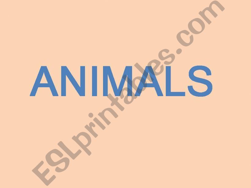 Animals flash cards powerpoint