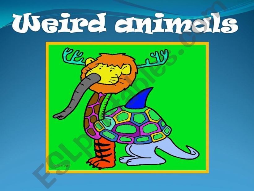 WEIRD ANIMALS Extremely fun powerpoint