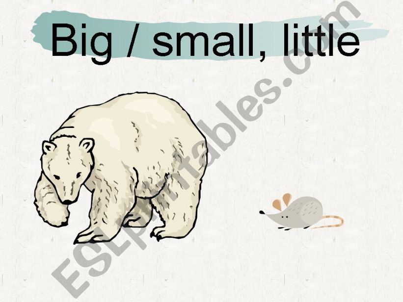 opposite words powerpoint