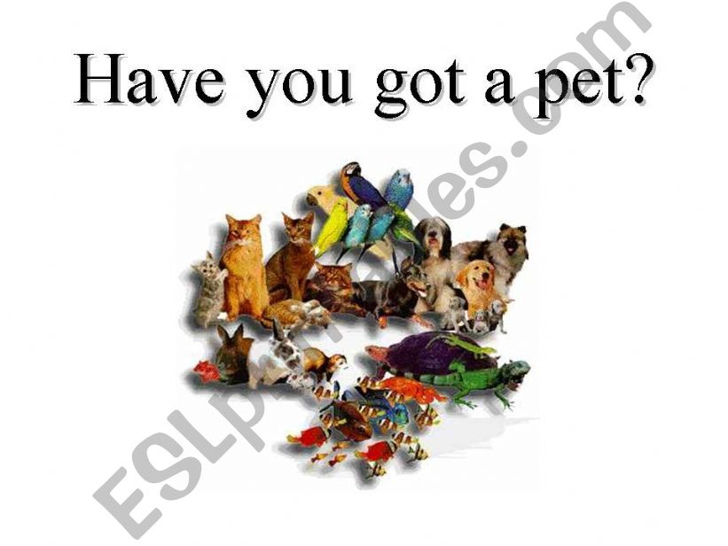 Have you got a pet? powerpoint