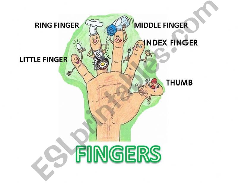 1 FINGERS NAMES powerpoint