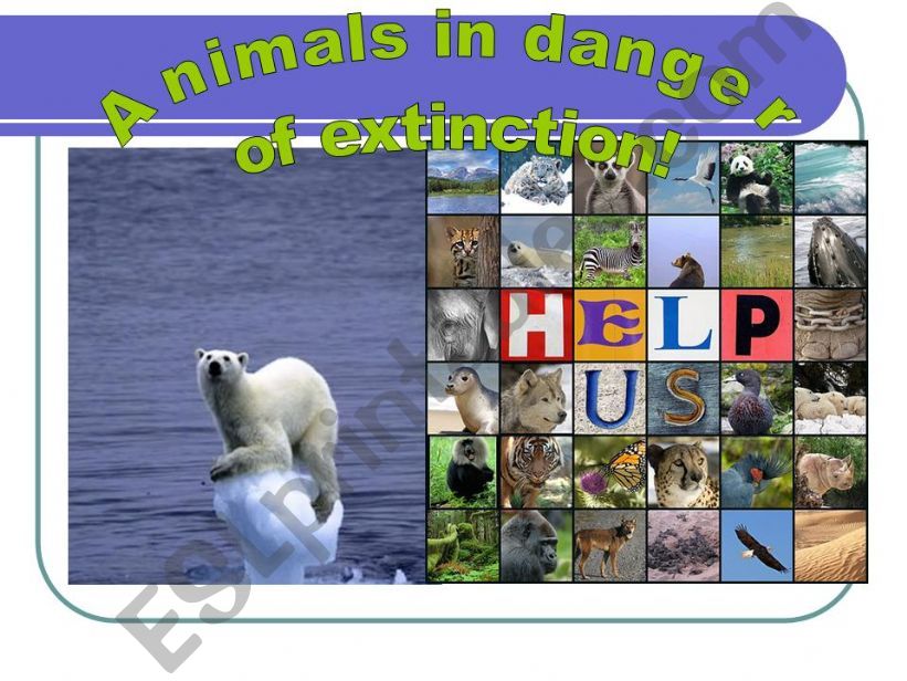 animals in danger of extinction!