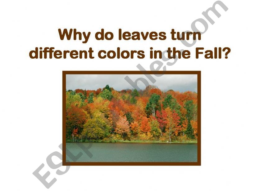 Why Leaves Turn Colors powerpoint