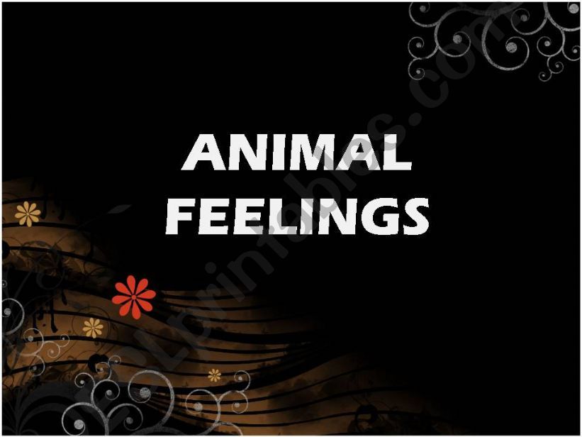 Animal Feelings Powerpoint  powerpoint