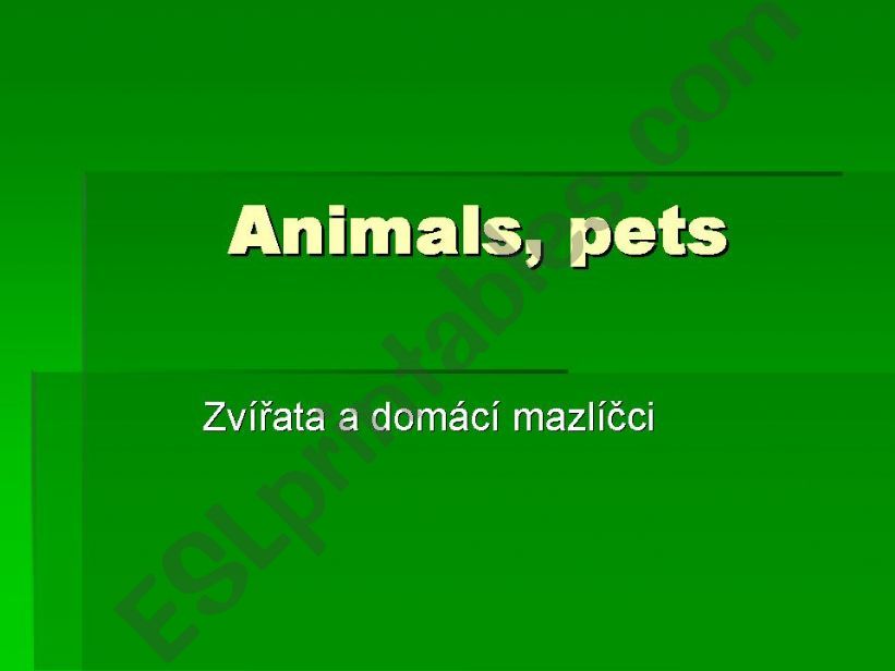 Animals, pets powerpoint