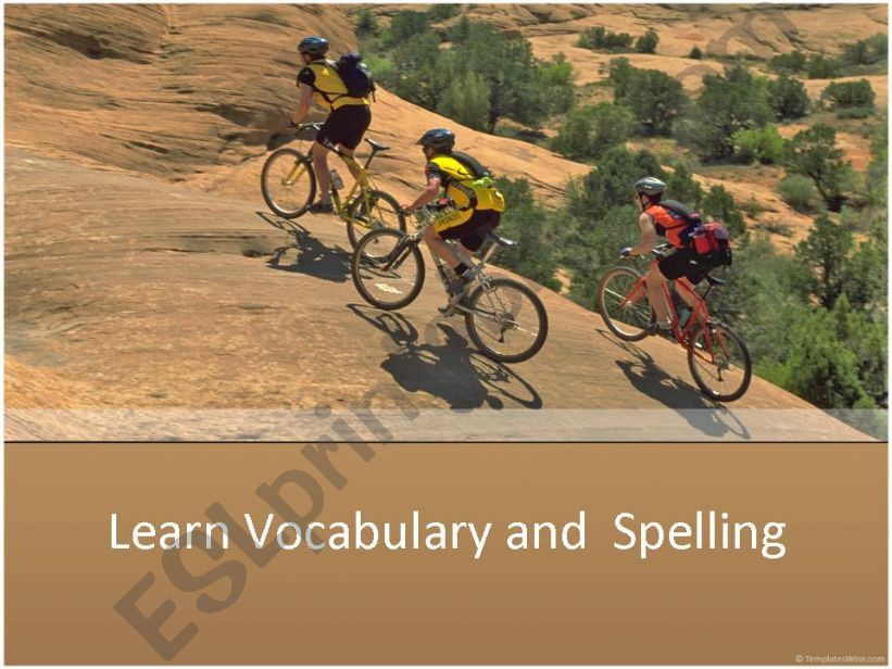Vocabulary and spelling rules.