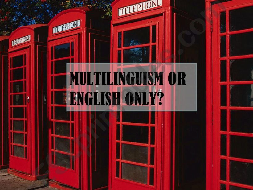 Multilingualism or English only?