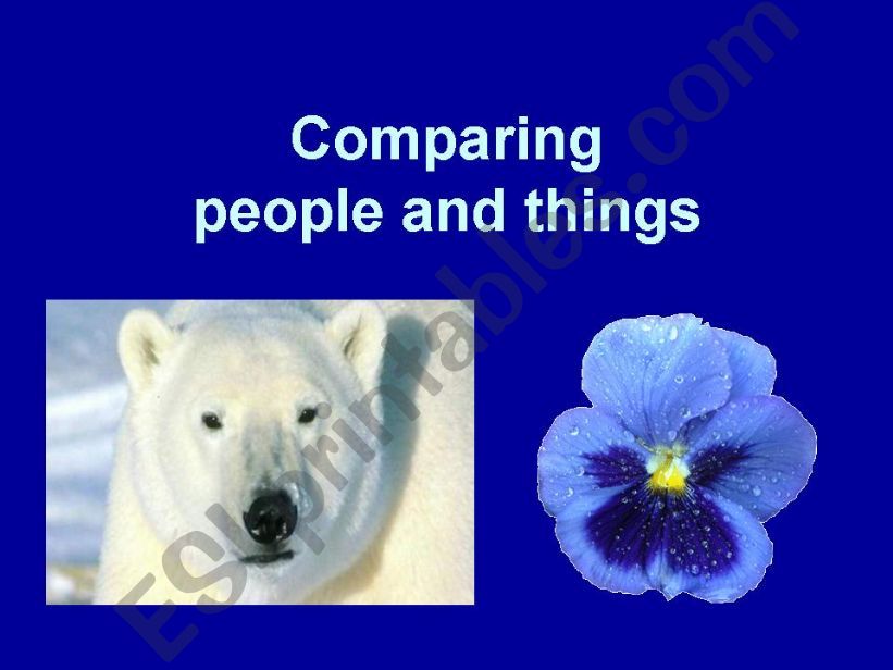 Comparing people and things powerpoint