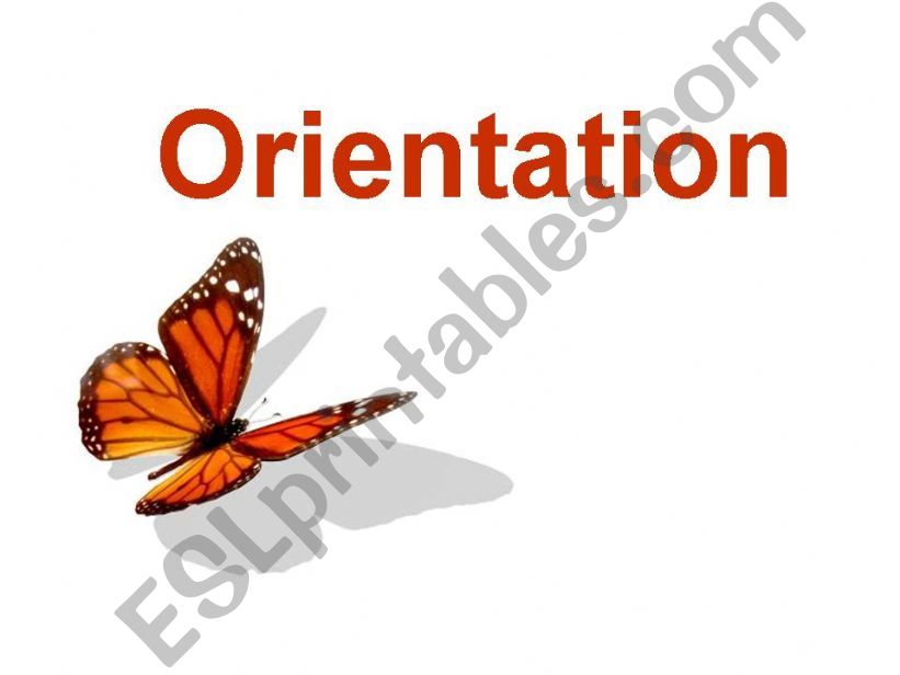 Orientation powerpoint