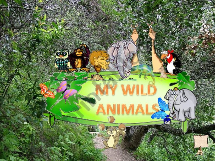 MY WILD ANIMALS  Part 1  FULLY EDITABLE, INTERACTIVE WITH SOUNDS AND ANIMATED ANIMALS 