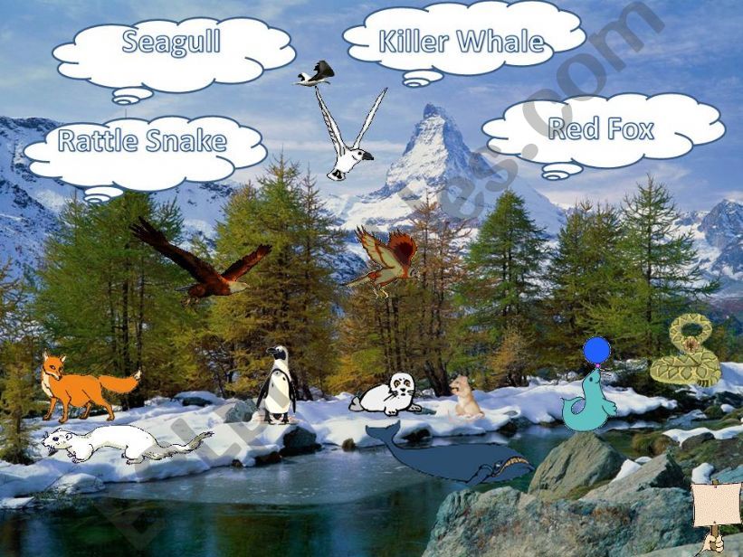 MY WILD ANIMALS  Part 6  FULLY EDITABLE, INTERACTIVE WITH SOUNDS AND ANIMATED ANIMALS . Today  the cold areas animals.