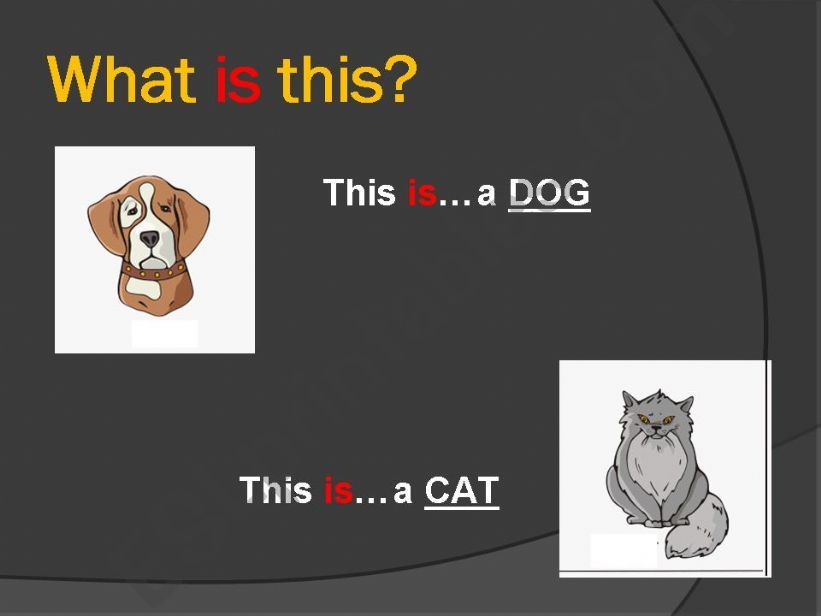 Discovering Pets powerpoint