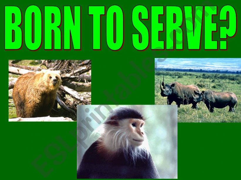 Born to serve? powerpoint