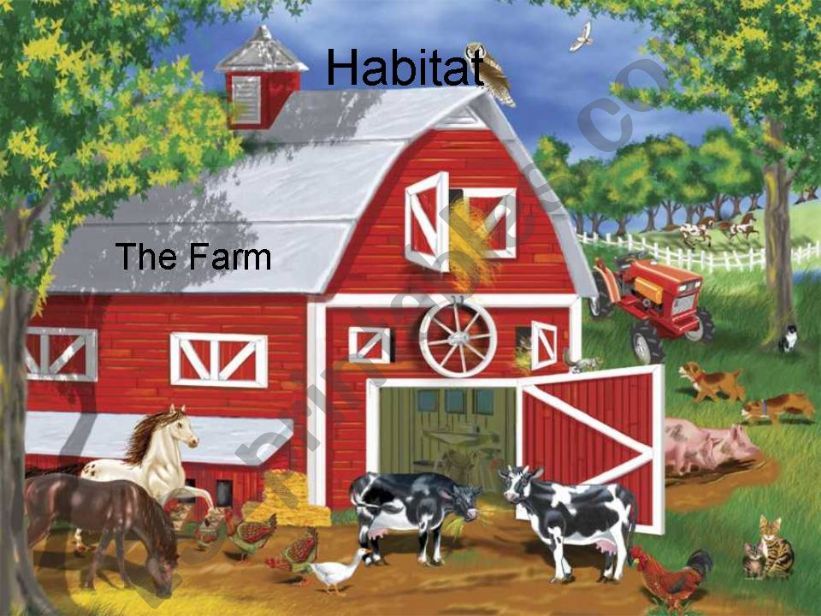 The Farm - Chickens Habitat powerpoint