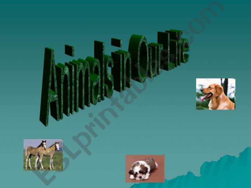 Animals in our life powerpoint