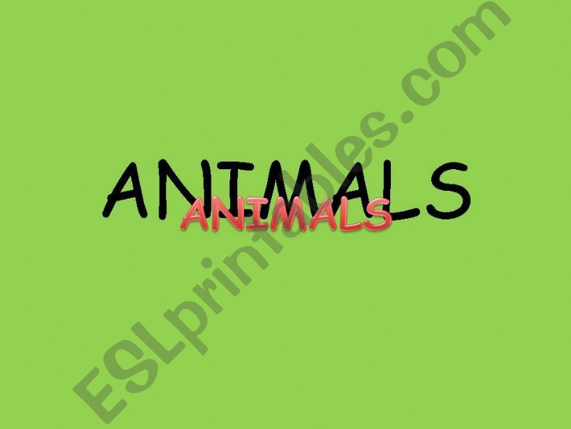 Animals powerpoint