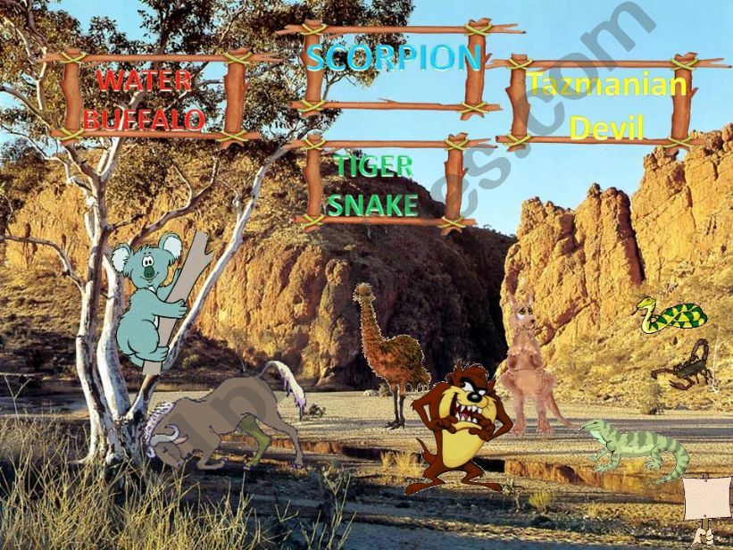 MY WILD ANIMALS  Part 12  FULLY EDITABLE, INTERACTIVE WITH SOUNDS AND ANIMATED ANIMALS . Australian and desert areas animals.