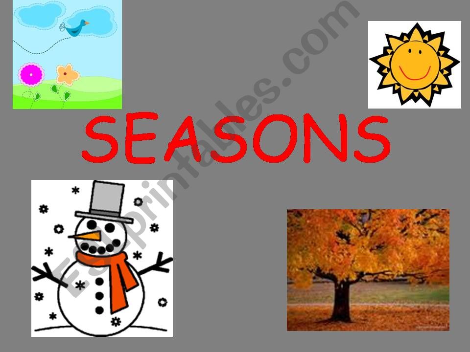 seasons - what is the weather like?