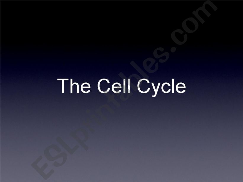 The Cell Cycle powerpoint