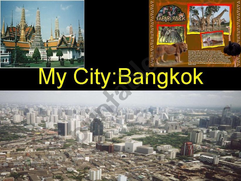 My City powerpoint