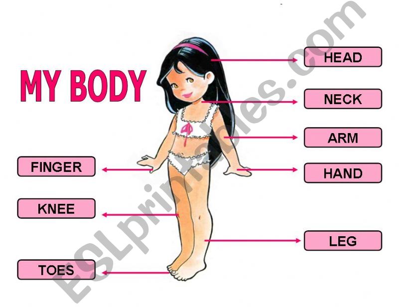 MY BODY powerpoint