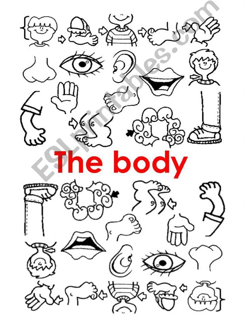 Parts of the Body powerpoint
