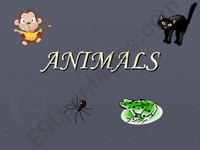 animals powerpoint