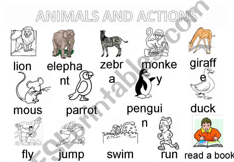 ANIMALS powerpoint