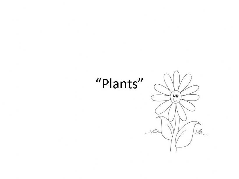 Plants Charactersitics / Seasons 