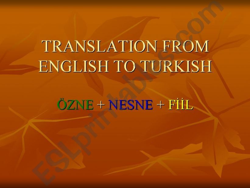 TRANSLATION FROM ENGLISH TO TURKISH