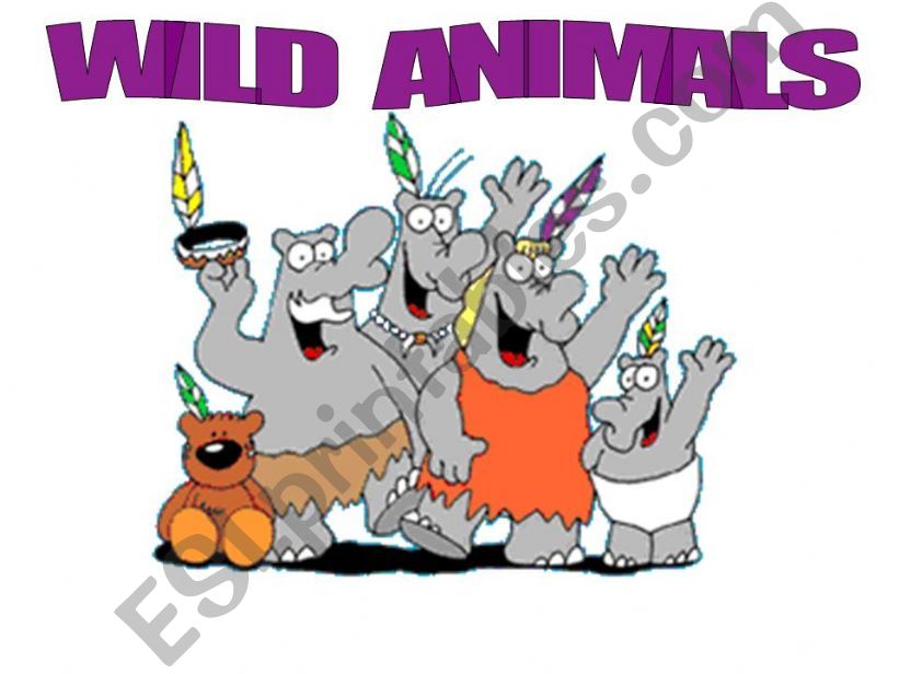 wild animals powerpoint