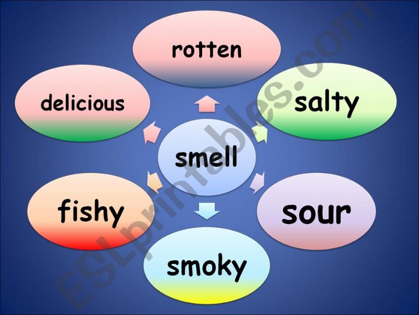 Adjectives and senses part 2 powerpoint