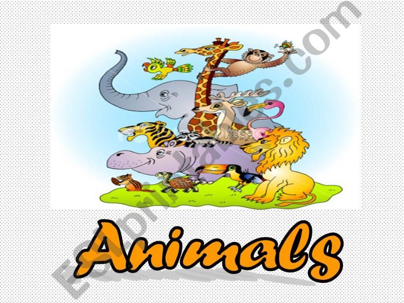 animals powerpoint