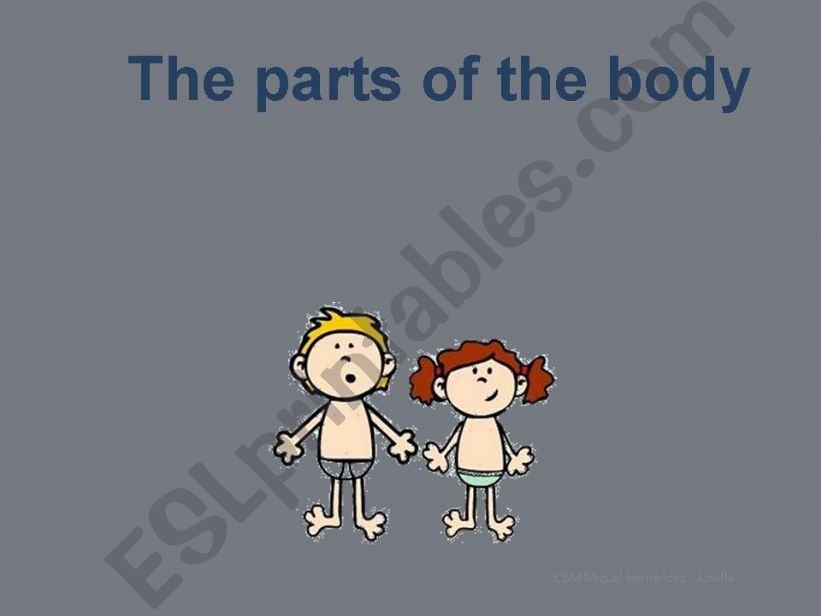 The 3 parts of the body powerpoint