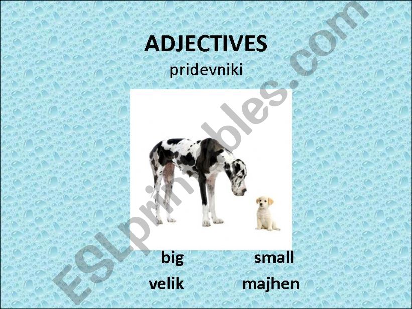 Adjectives-opposites powerpoint